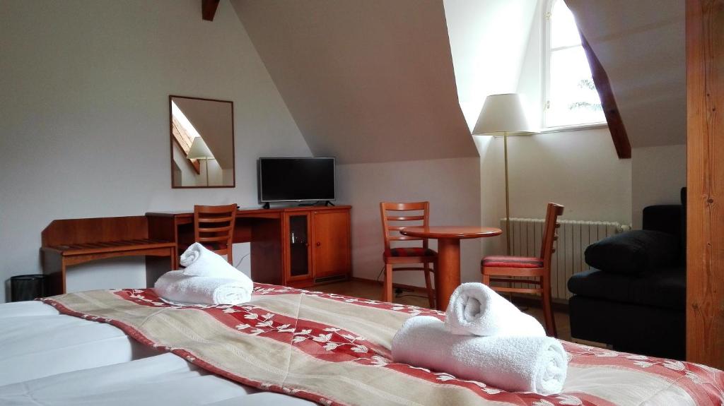 Pension Jana - Domov Mládeže - Comfort Double Room