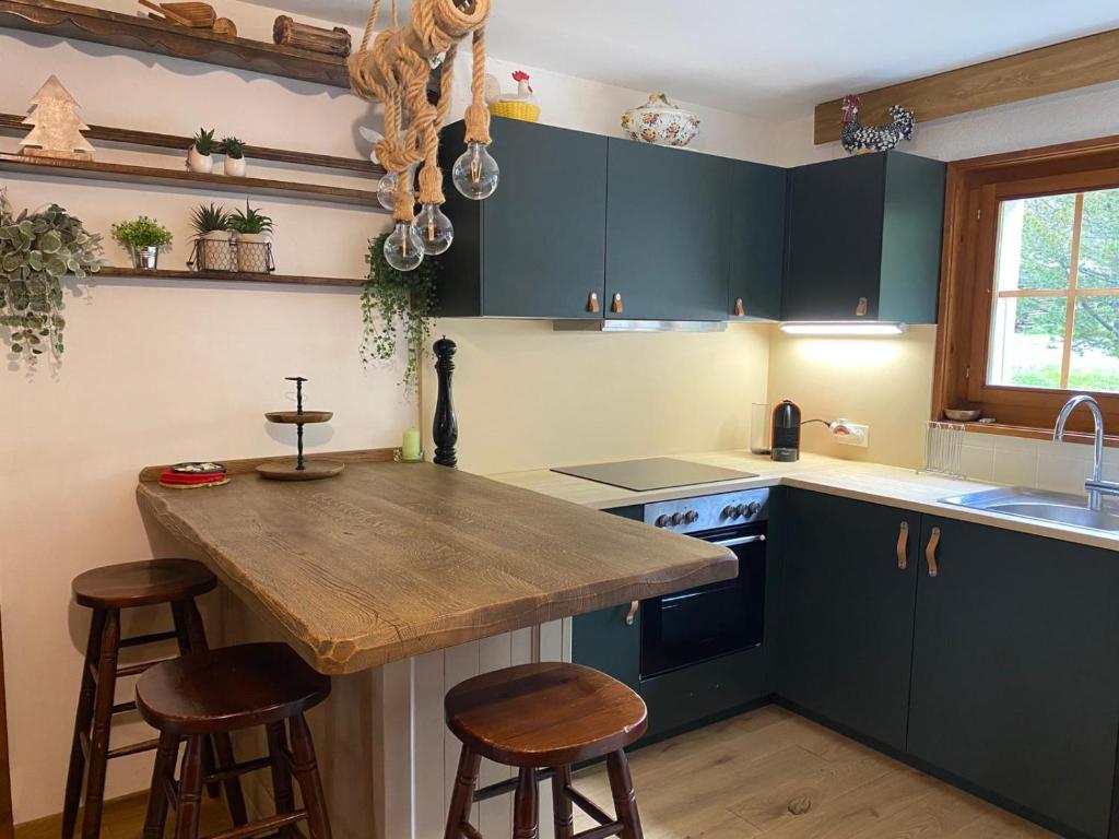Kuchyň nebo kuchyňský kout v ubytování Cozy apartment in the heart of the Alps