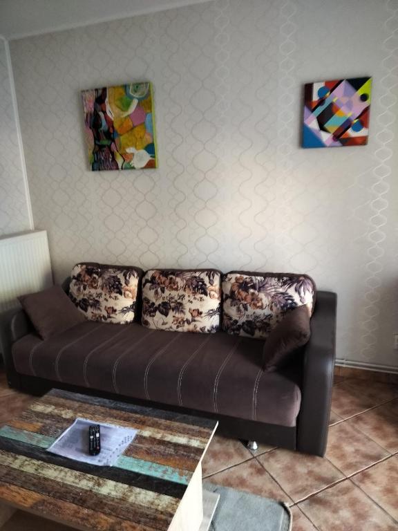 a living room with a brown couch and two paintings at Florentinas Apartment in Braşov