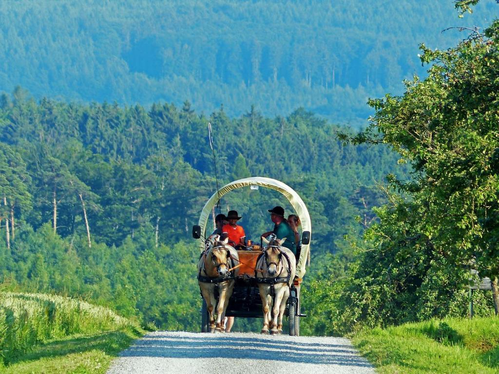 Hosté ubytování Pension Stern
