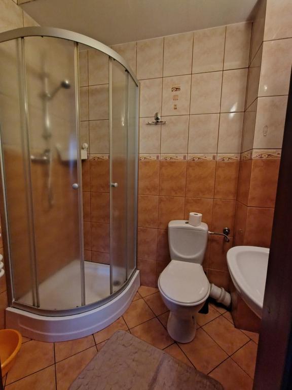 Kúpeľňa v ubytovaní Jaskółka