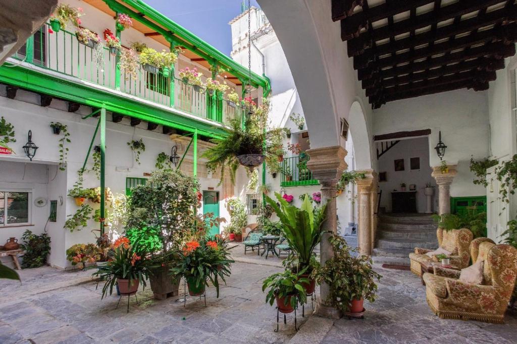 une cour dans un bâtiment avec des plantes en pot dans l'établissement Apartamentos Jerez, à Jerez de la Frontera