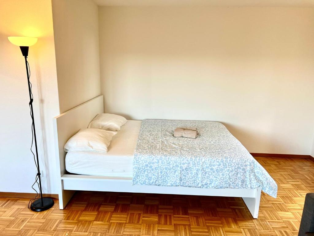 Large Flats, Zurich Lake HWA - Self Checkin - Resim 35