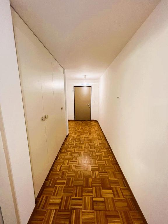 Large Flats, Zurich Lake HWA - Self Checkin - Resim 36