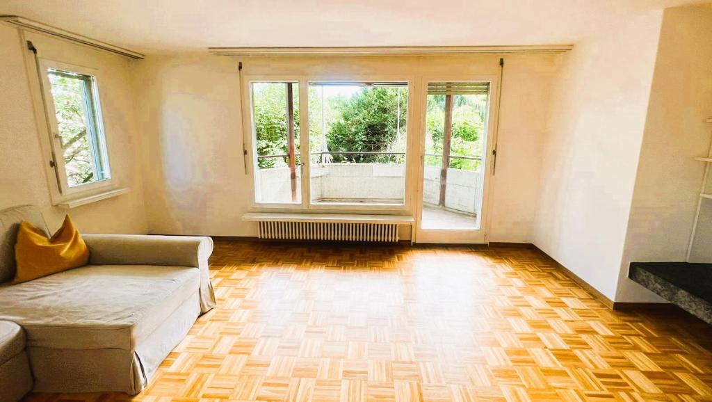 Large Flats, Zurich Lake HWA - Self Checkin - Resim 37