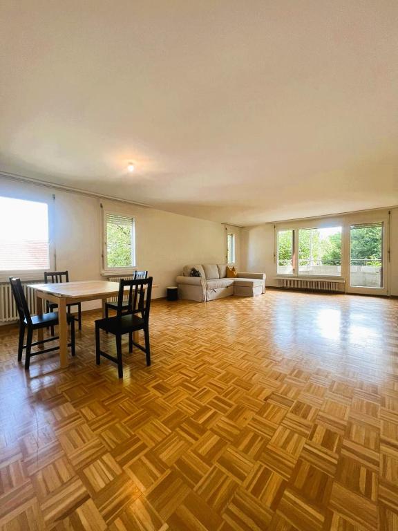 Large Flats, Zurich Lake HWA - Self Checkin - Resim 2