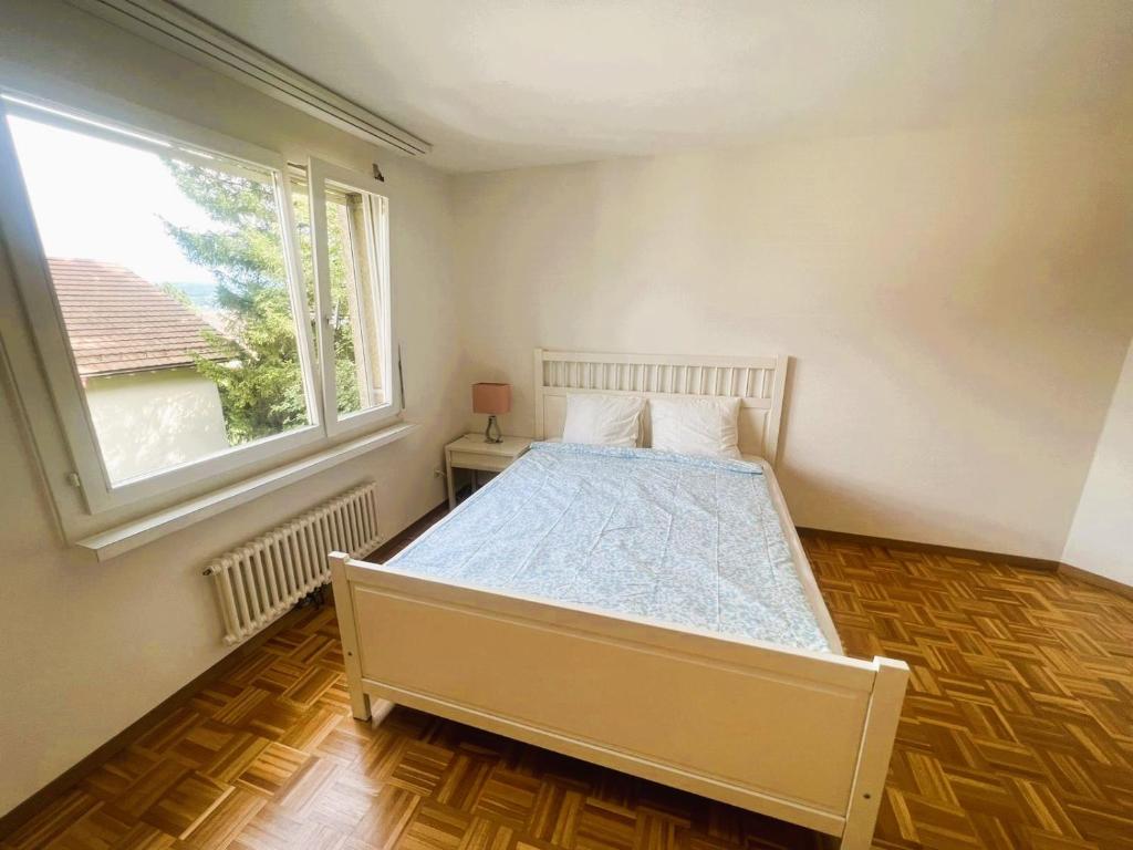 Large Flats, Zurich Lake HWA - Self Checkin - Resim 45