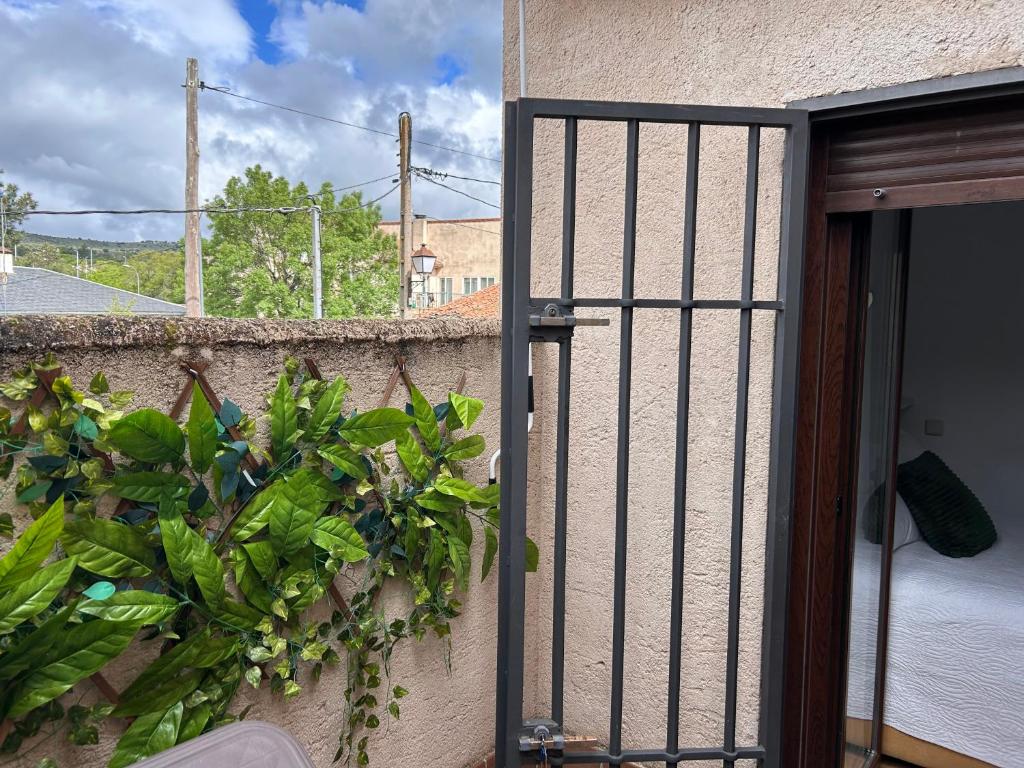 Balkón nebo terasa v ubytování El Mondalindo Habitación intima con patio