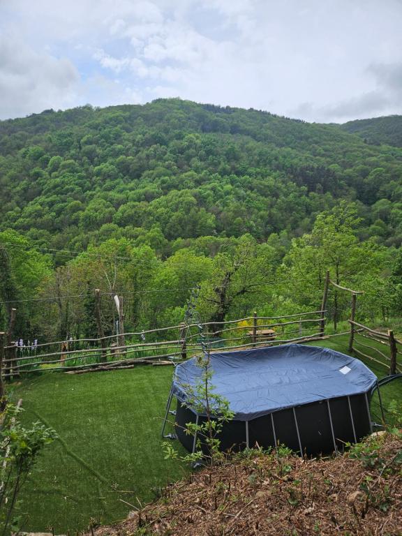 Příroda nedaleko prázdninového domu