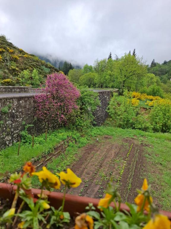 Zahrada ubytování Auberge Arthéa