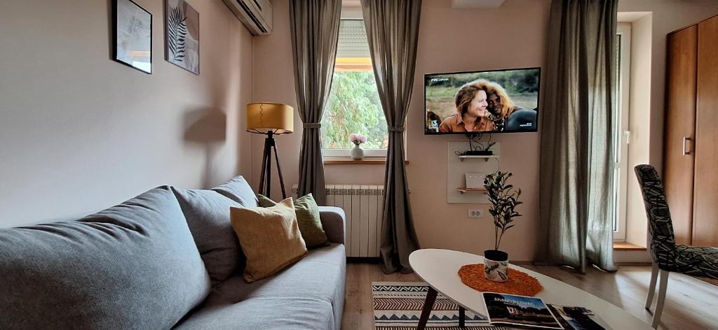 a living room with a couch and a tv at Divna in Arandelovac