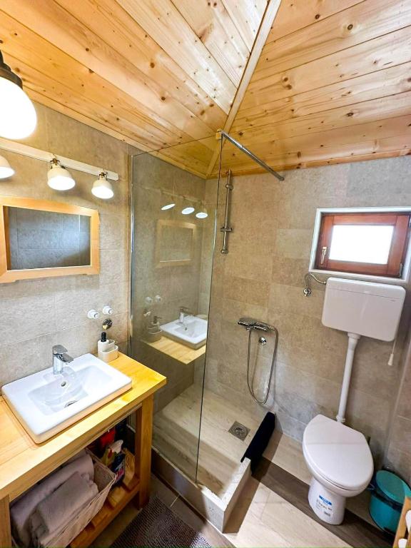 Koupelna v ubytování Seosko turisticko domacinstvo Radivojevic