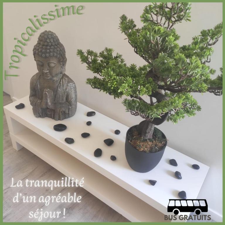 une statue assise sur une étagère à côté d'un bonsaï dans l'établissement Tropicalissime, à Dunkerque