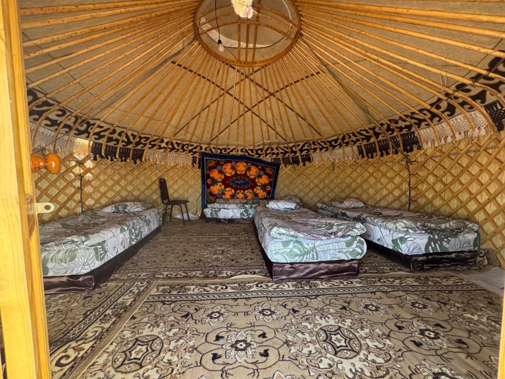 Транссексуал жігіттің есегіне кірді. Арық әйелдермен жыныстық қатынасқа қараңыз