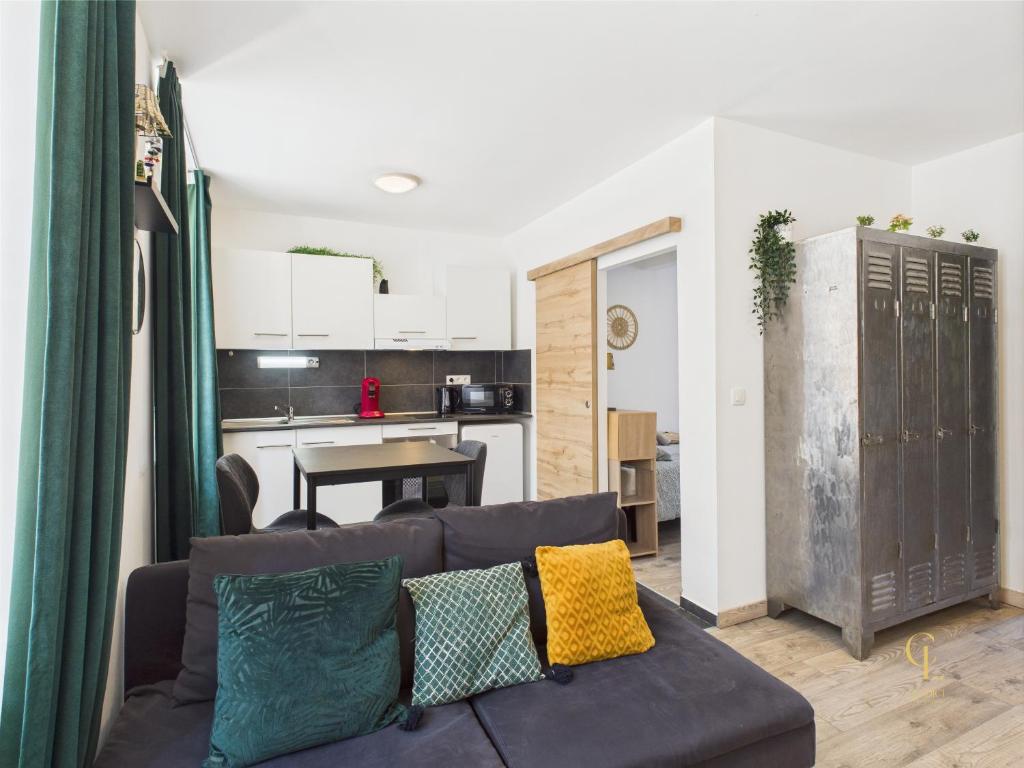 Cocon Zen Balneo - Appartement RDC proche centre Mulhouse – photo 4