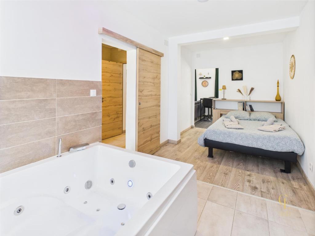 Cocon Zen Balneo - Appartement RDC proche centre Mulhouse – photo 10