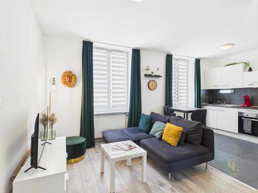 un salon avec un canapé et une cuisine dans l'établissement Cocon Zen Balneo - Appartement RDC proche centre Mulhouse, à Mulhouse