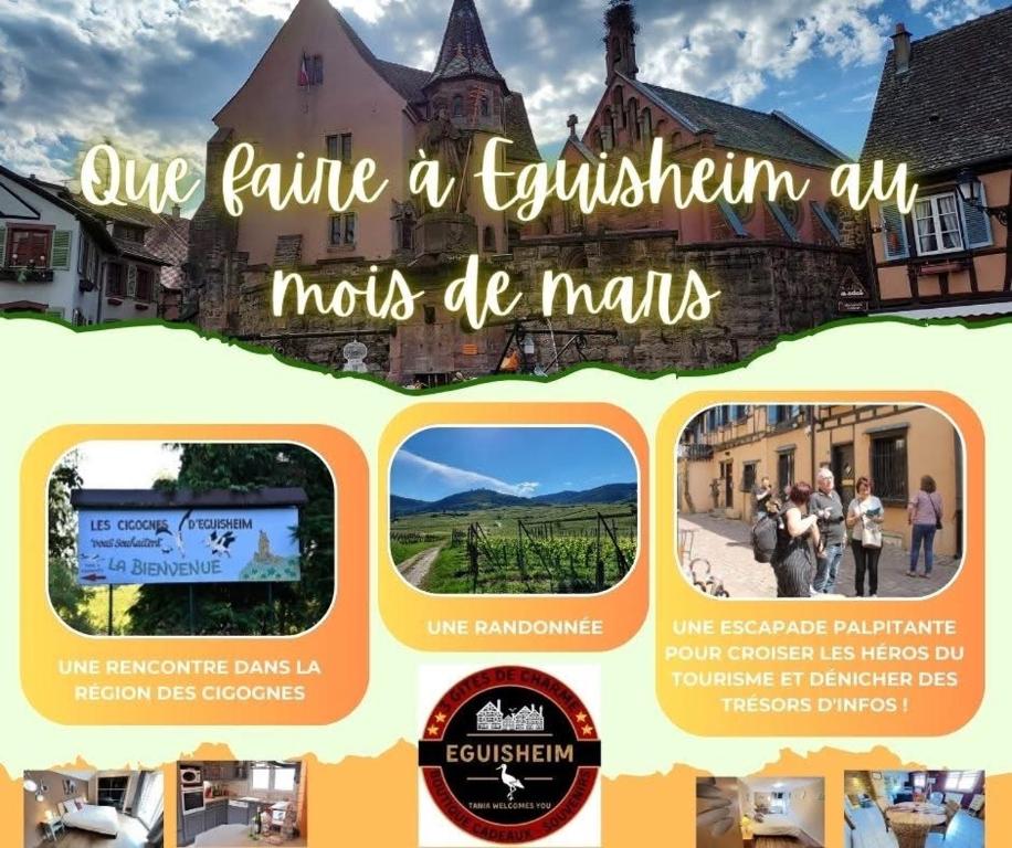 Gite St Léon à Eguisheim – photo 18