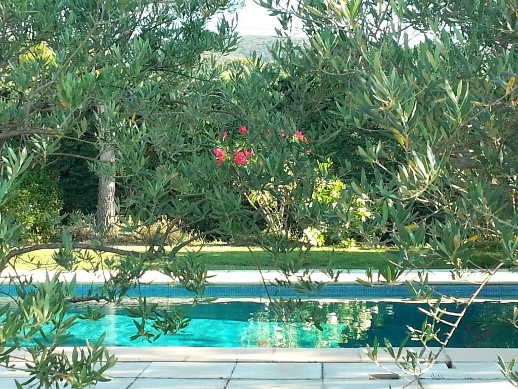 - une piscine avec des plantes et des fleurs dans l'établissement Maison de charme en Luberon à proximité de Lourmarin piscine privée et grand jardin, à Puyvert