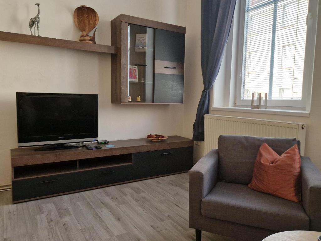 TV a/nebo společenská místnost v ubytování Apartman Kala Česká Lípa