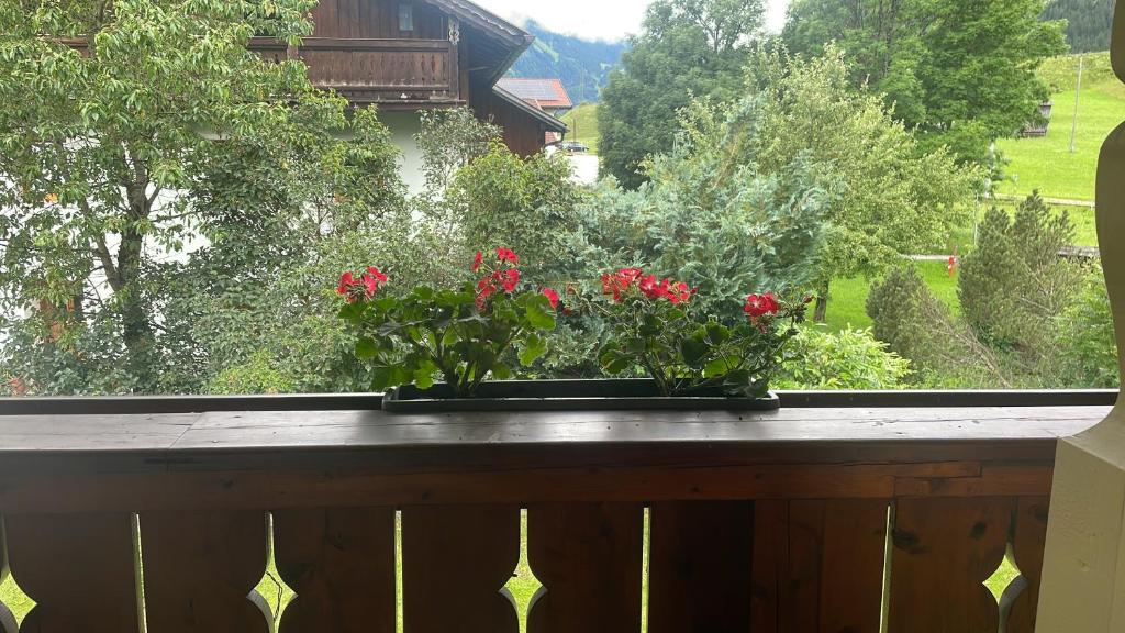 Zahrada ubytování Appartments Krone