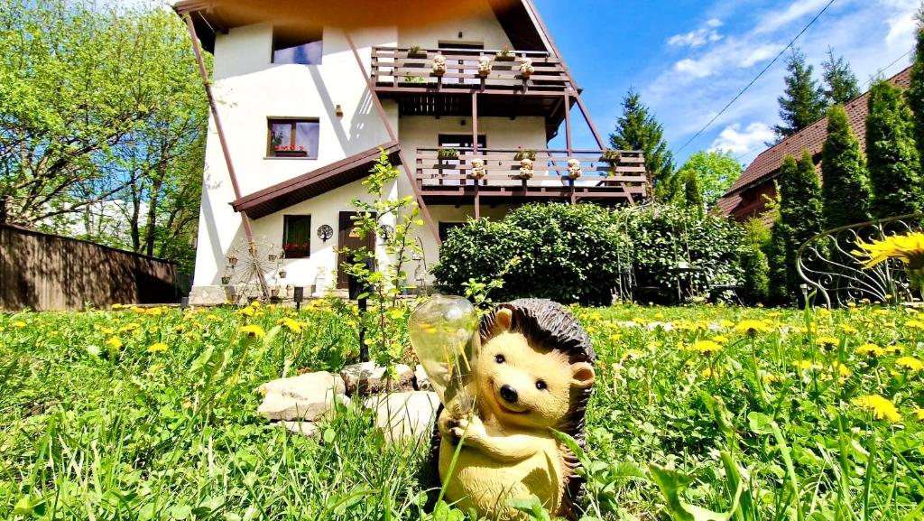 Zahrada ubytování UMANI Retreat