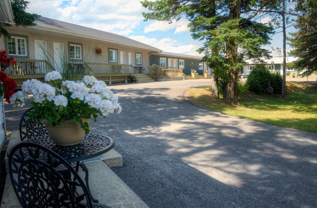 a table with a vase of flowers sitting on a bench at Motel Des Cascades in Baie-Saint-Paul