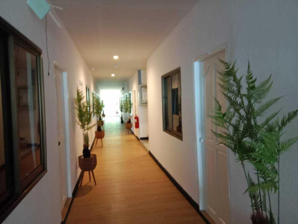 RQ Phuket Patong Beach by Collection O - Resim 18