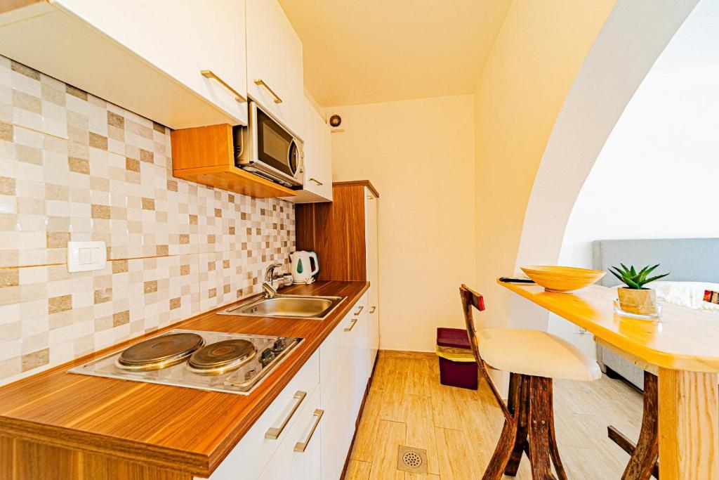 Köök või kööginurk majutusasutuses Rooms & Apartments Mirakul