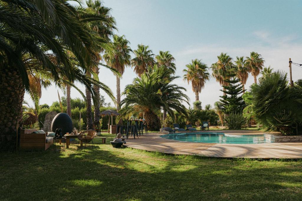 une cour avec une piscine et des palmiers dans l'établissement Maison jardin tropicale piscine - Quatre Murs Et Un Toit, à Hyères