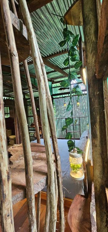 Casa en el Árbol Gecko - 3 Yara sunset