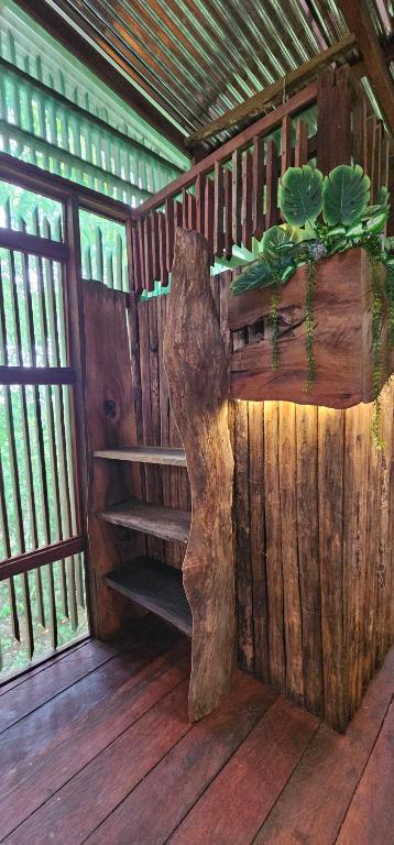 Casa en el Árbol Gecko - 3 Yara sunset