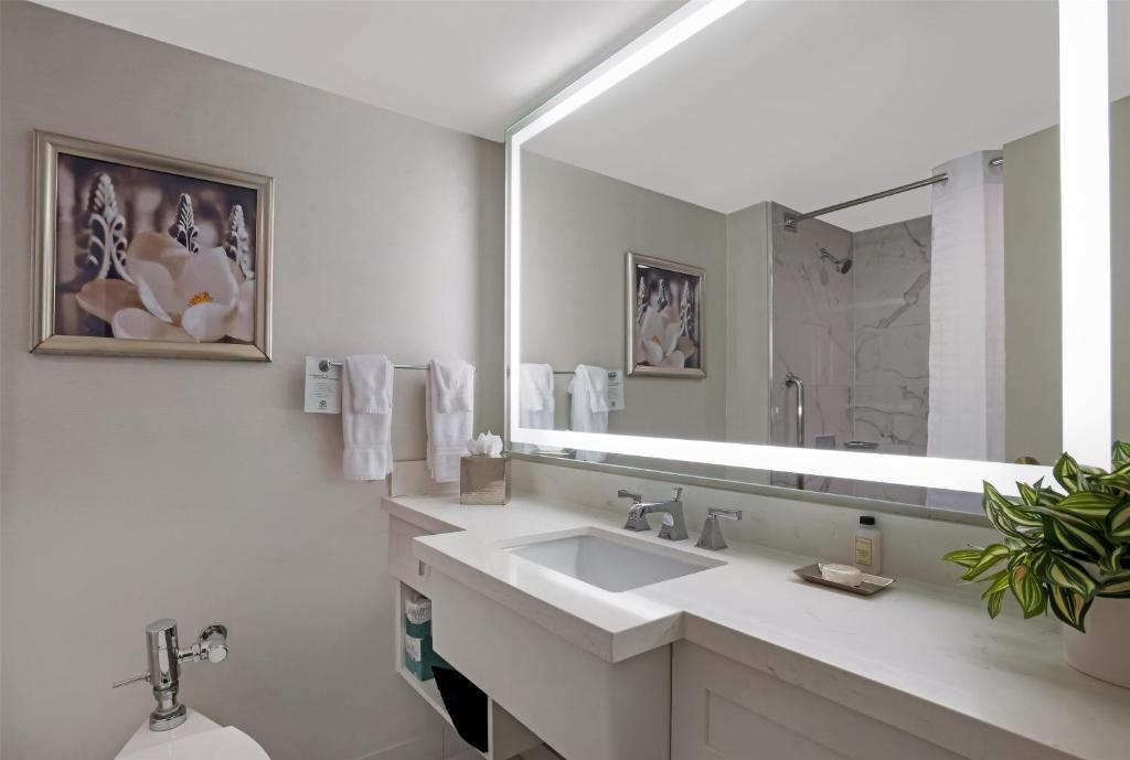 The Royal Sonesta New Orleans - 