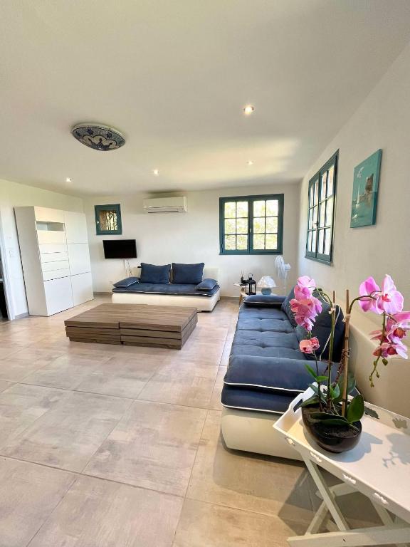 un grand salon avec des canapés bleus et un canapé dans l'établissement Bel appartement proche du centre ville, à Santa-Reparata-di-Balagna