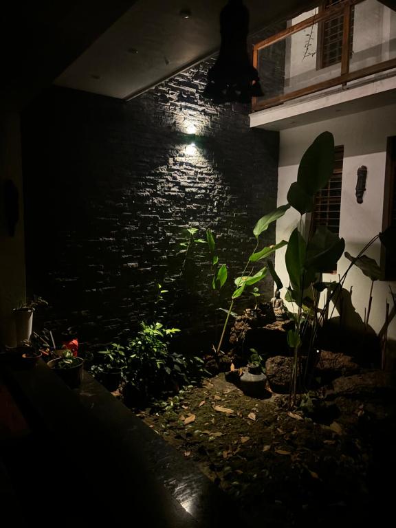 Zahrada ubytování Nights & Rains - the ultimate quiet getaway