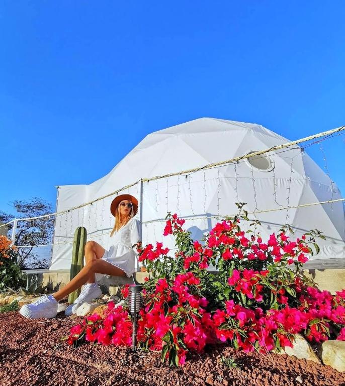Hosté ubytování El Gato Glamping con vista a prismas basálticos