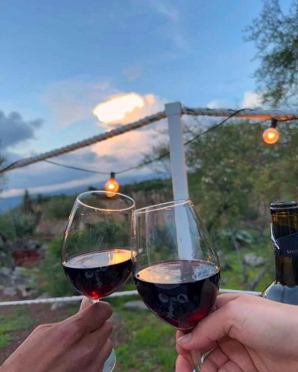 Nápoje v ubytování El Gato Glamping con vista a prismas basálticos