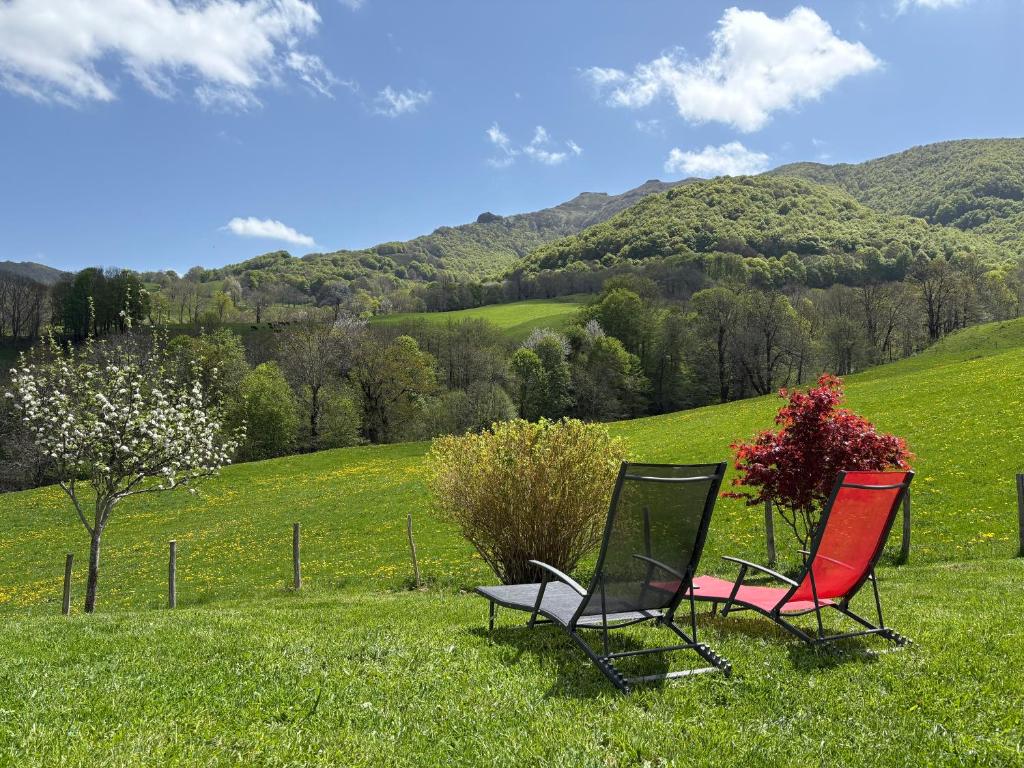deux chaises assises dans l'herbe dans un champ dans l'établissement Le Pradima, à Mandailles