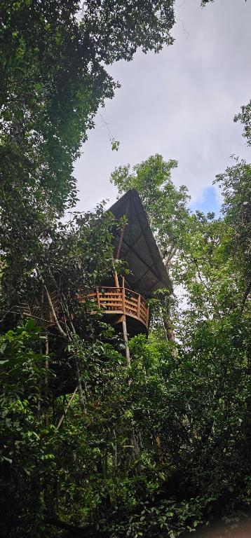 a tree house with a roof in the trees at Casa en el Árbol - El Arca in Leticia