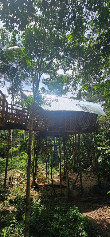 Casa en el árbol Gecko - 4 Umari