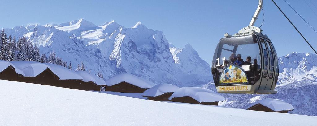 Hotel Meiringen v zimě