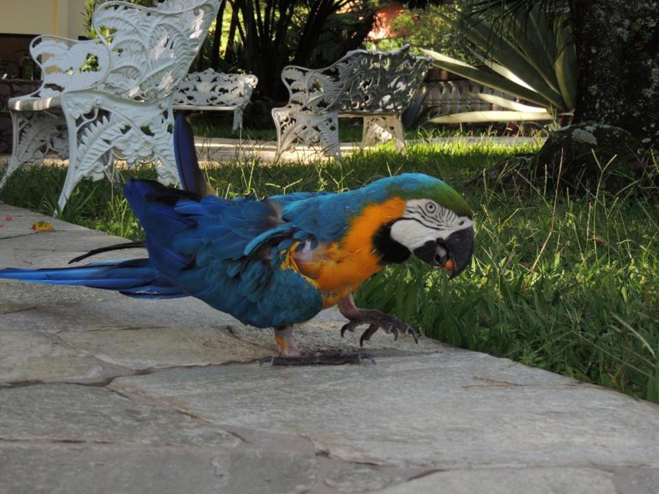  Hotel e Pousada Recanto do Rio Pardo