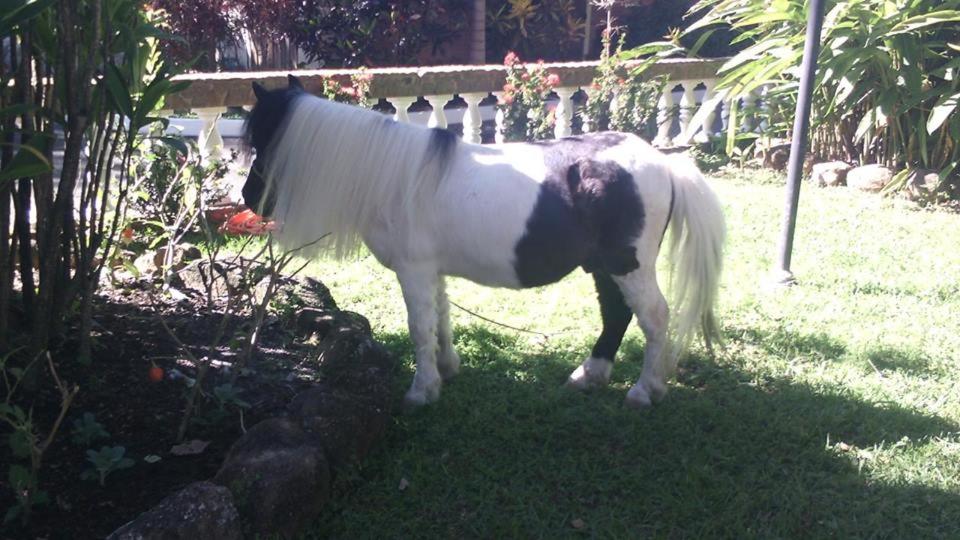  Hotel e Pousada Recanto do Rio Pardo
