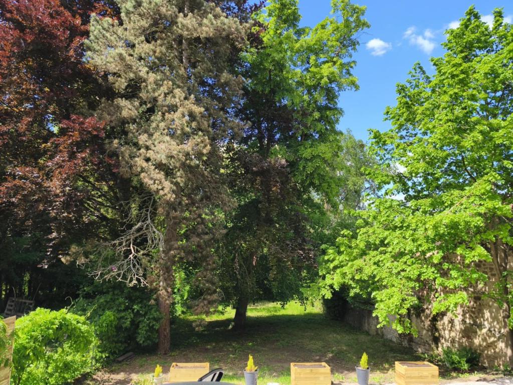 un parc avec des bancs et des arbres par beau temps dans l'établissement La maison des Bretzels GÎTE jacuzzi et charme Alsacien, à Pfaffenhoffen