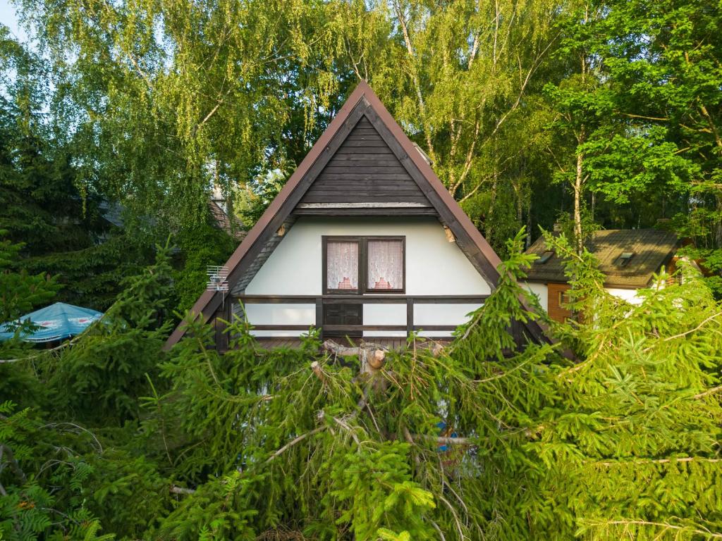 a small house in the middle of trees at Domek nad jeziorem in Kretowiny
