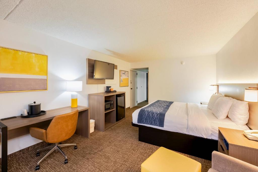 Comfort Inn Las Vegas New Mexico - Standaard Kamer, 1 Kingsize Bed, Niet-roken