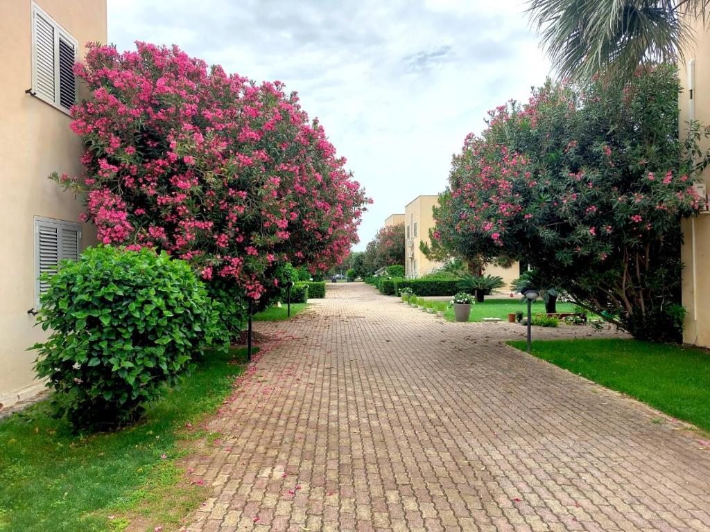 A garden outside Giallomare