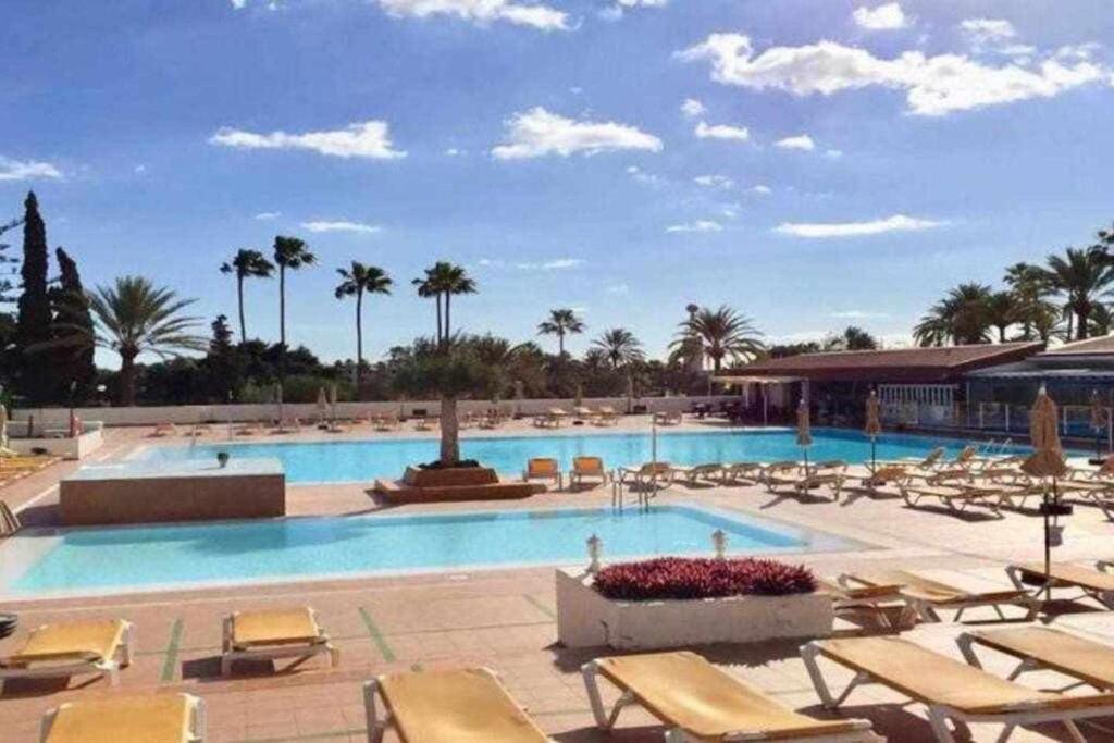 a large swimming pool with chairs and palm trees at Descubre el bungalow perfecto para tus vacaciones in San Bartolomé de Tirajana