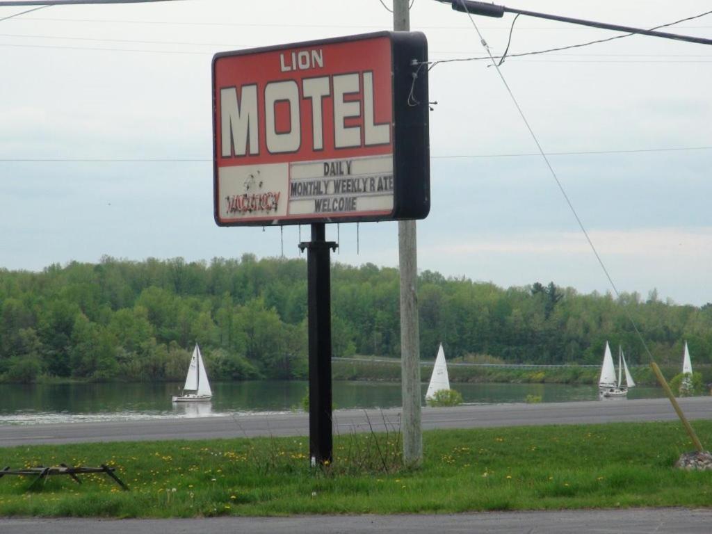 Příroda nedaleko motelu
