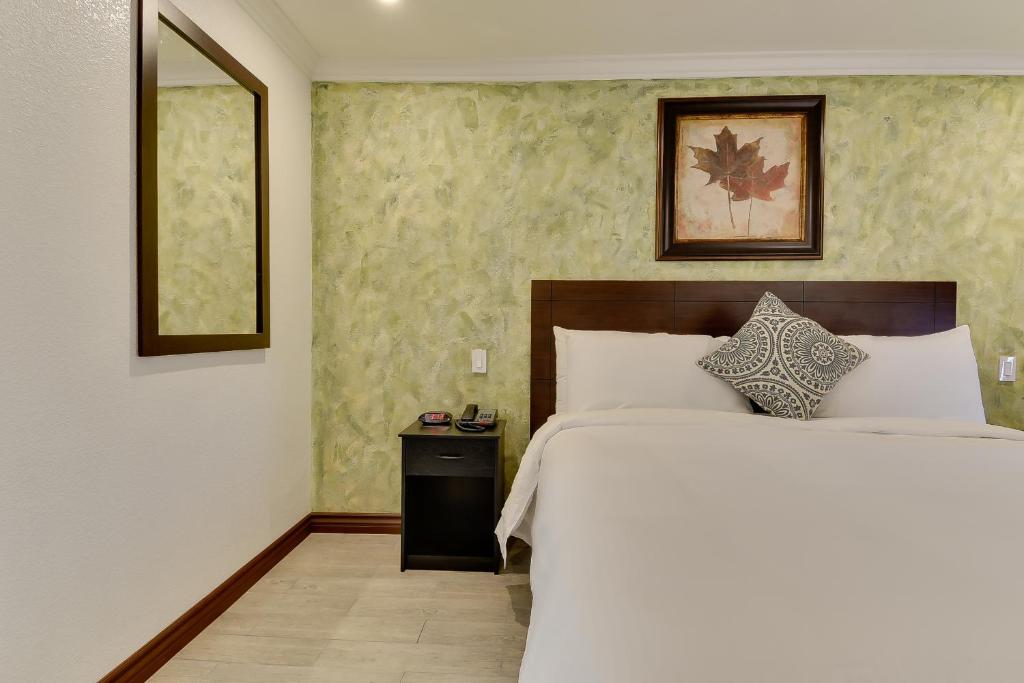 Vagabond Inn San Pedro - Chambre Lit King-Size Premium, Non-Fumeurs